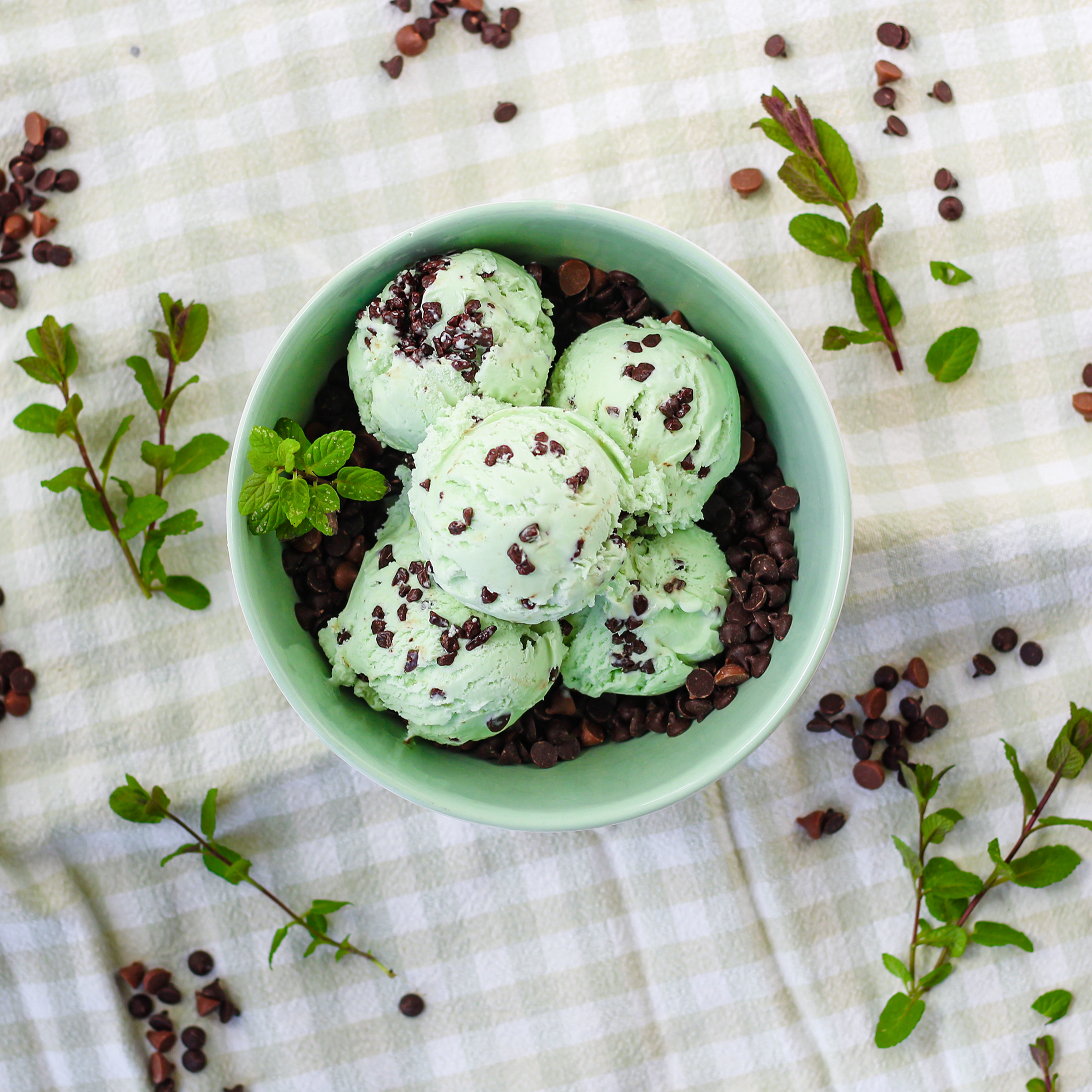 Mint Choc Chip ice cream